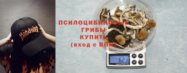 молекула духа Балахна