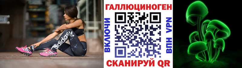 Галлюциногенные грибы Psilocybe Санкт-Петербург
